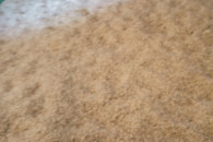 Owies mieszanka, 10-15 ton, zamiana, TRANSPORT