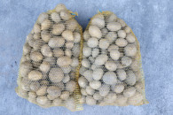 Ziemniaki soraja owacja