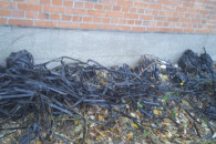 tasmy do podelwania mega duza ilosc zapraszam