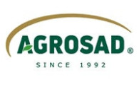 Dyrektor zarządzający